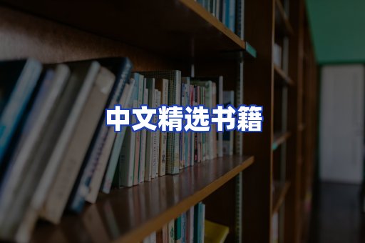 中文精选书籍
